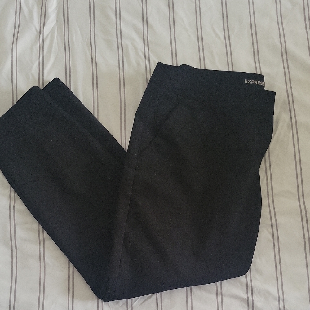 Express Columnist Pants